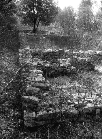 La prima proprietà della Cava - La Villa Padronale romana come centro di Potere e Industria nell'Aurisina Romana